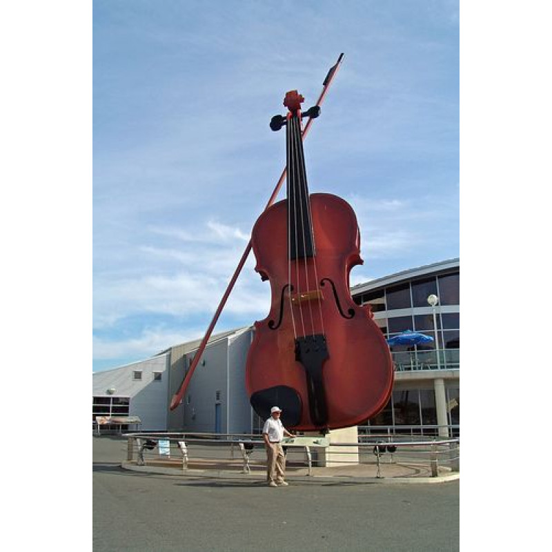 Огромная скрипка. Самая большая скрипка в мире. Скрипка арт объект. Памятник контрабас за рубежом. Скрипка в форме члена.